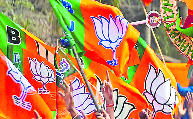 BJP_27s_20concerns.jpg