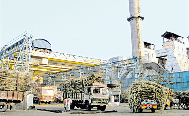 CHODAVARAM-SUGARS_27_39.jpg