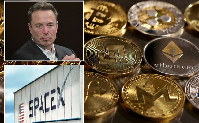 elonmusk_bitcoin_sell.jpg