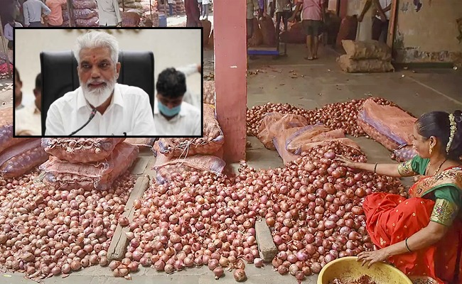onion_imng.jpeg