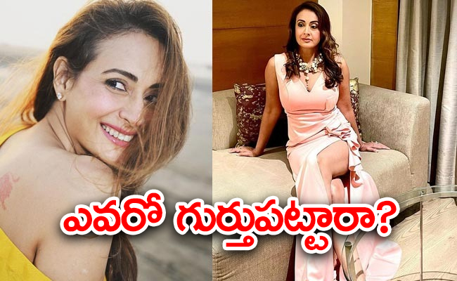 thammudu-movie-actress-preeti-jhangiani-details.jpg