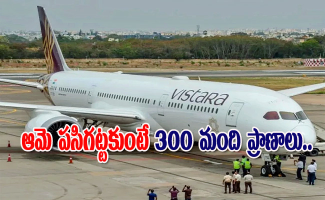 vistara.jpg