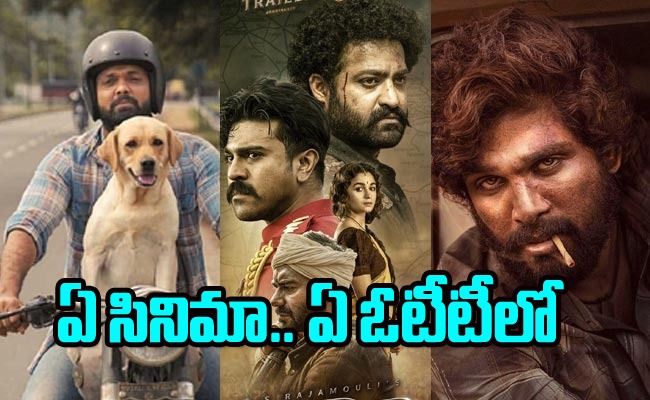 national-award-movies-ott.jpg