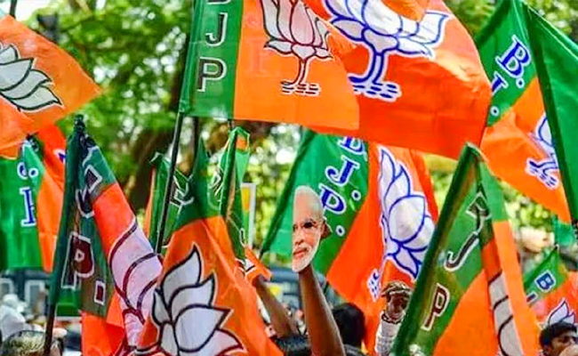 bjpflags-crowd.jpg