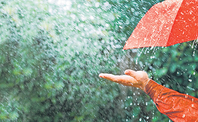 rains.jpg