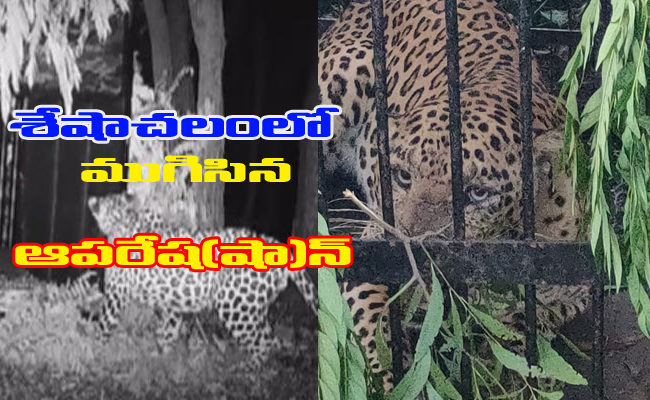 Seshachalam-Operation-Chiru.jpg