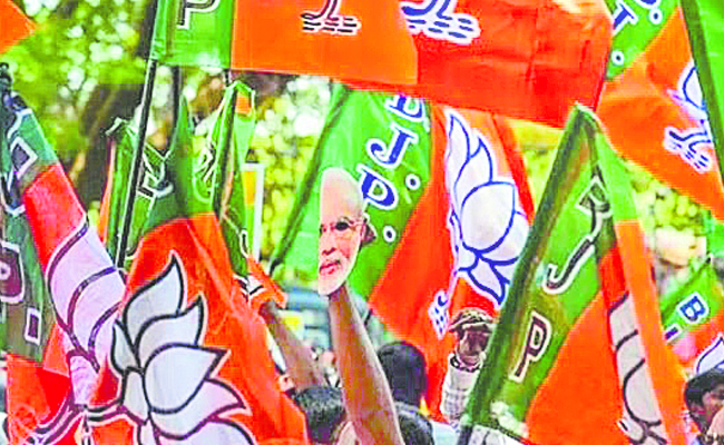 bjp_20parti.jpg