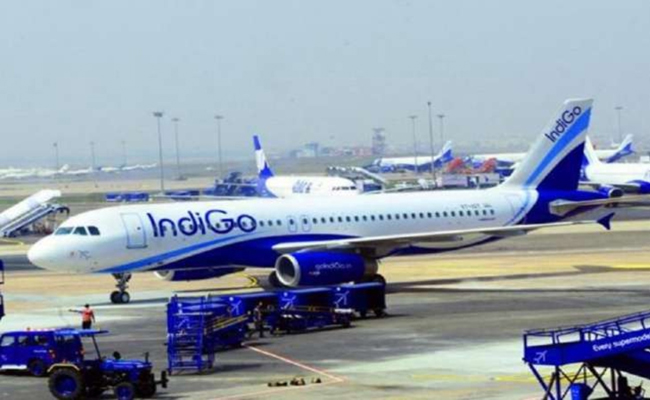 indigo.jpg