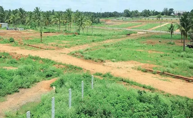 mokila.jpg
