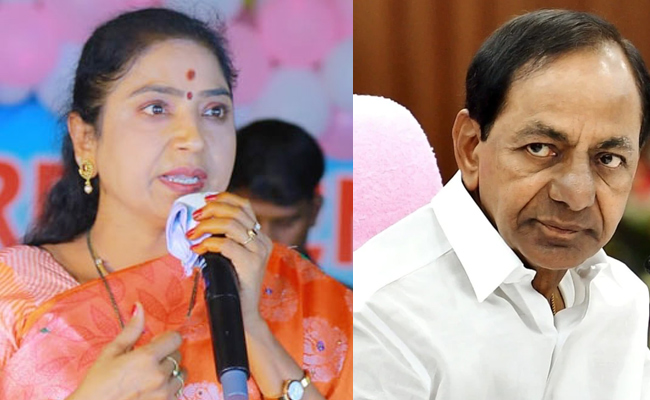 Rekha_Nayak_BRS_Fight.jpg