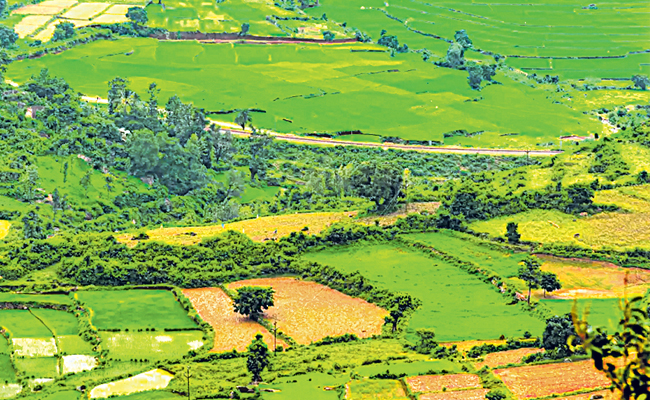 land.jpg