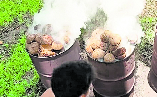 COCONT.jpg