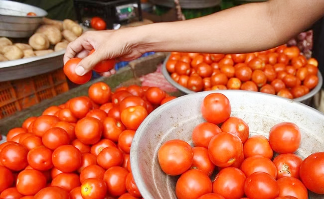 tomato-prices-Down.jpg