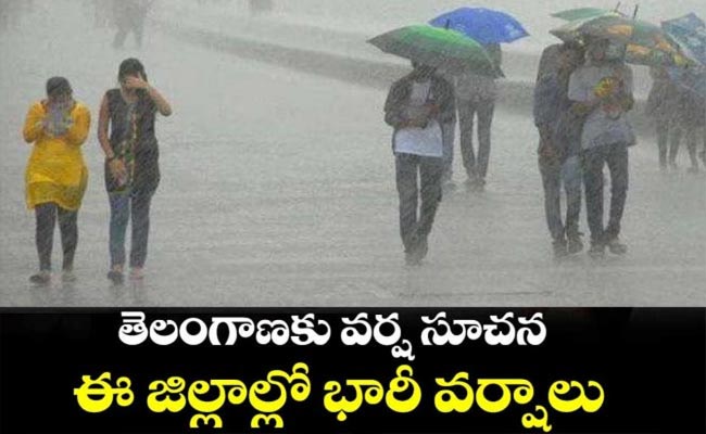 TS-Rains.jpg