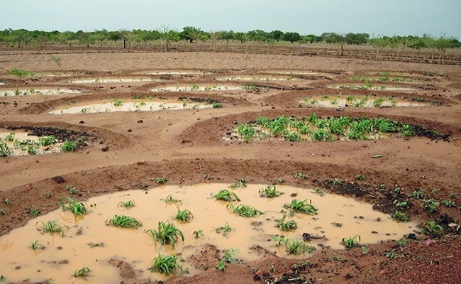africa.jpg