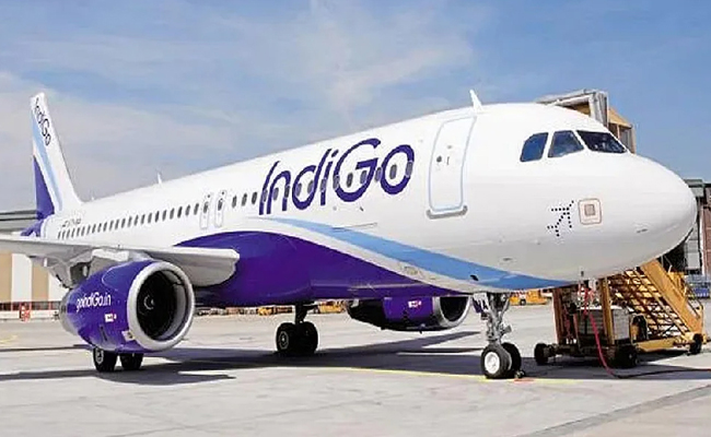 indigo-good-news.jpg