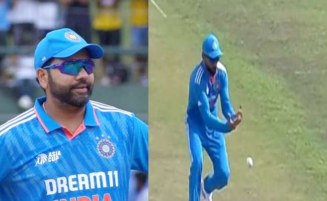 indvsnep2.jpg