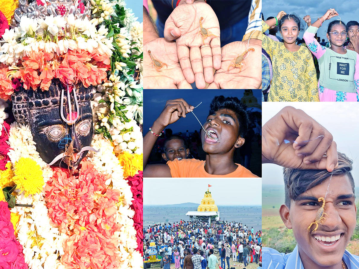 Devotees_20offer_20scorpions_20to_20Deity_20at_20Kodumur_20temple_20in_20Kurnool-1.jpg 1