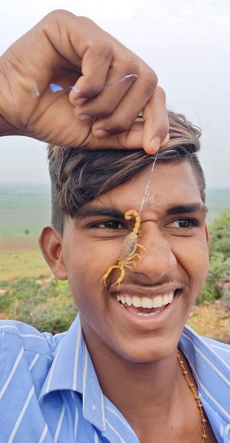 Devotees_20offer_20scorpions_20to_20Deity_20at_20Kodumur_20temple_20in_20Kurnool-8.jpg 6