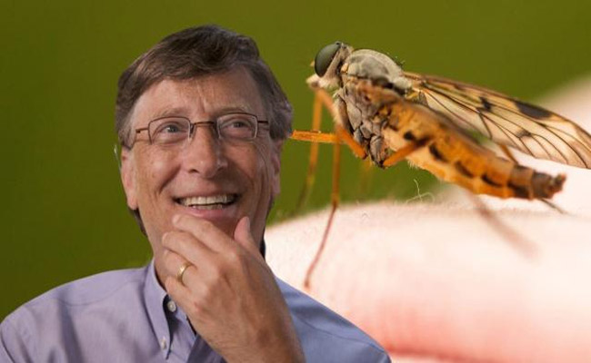 billgates.jpg
