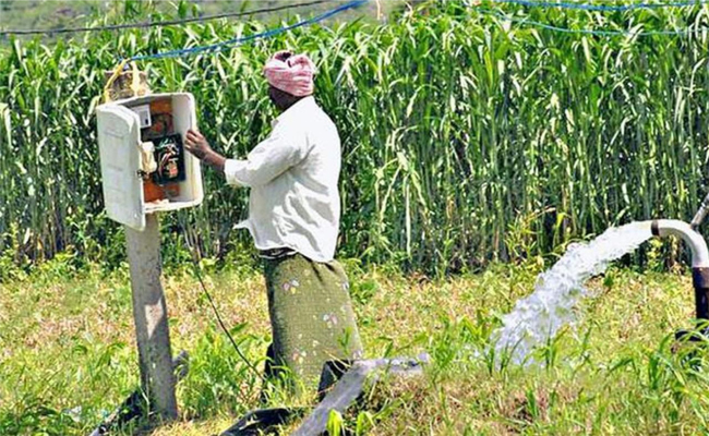 farmers.jpg