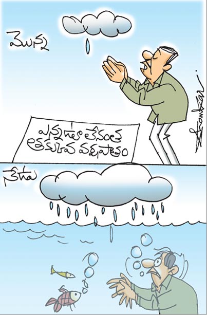 Heavy-Rainfall.jpg