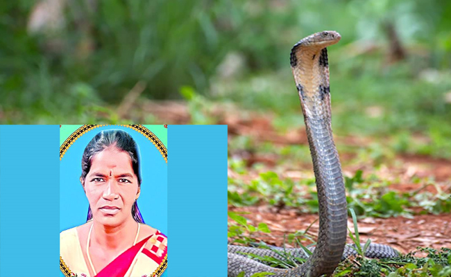Nagamani_20Died.jpg