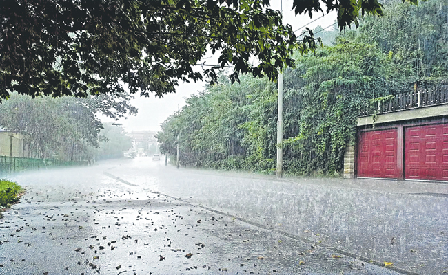 rain1.jpg