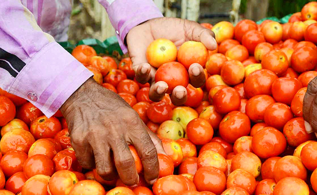 Tomatoprices.jpg