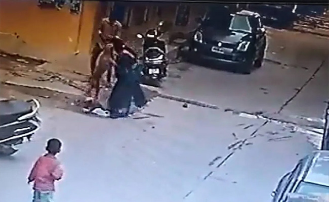 dog-attack.jpg