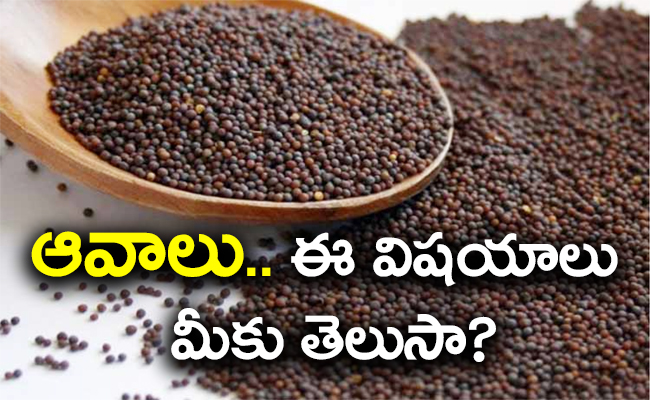 Mustard-Seeds.jpg