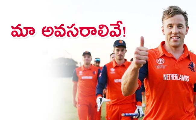 Netherlands-Cricket-Board.jpg