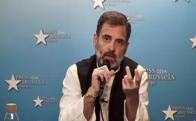 rahul-brassel.jpg