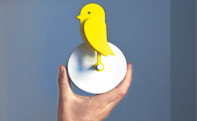 Bird.jpg