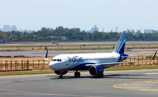 indigo.jpg