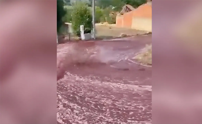 Red_20wine.jpg