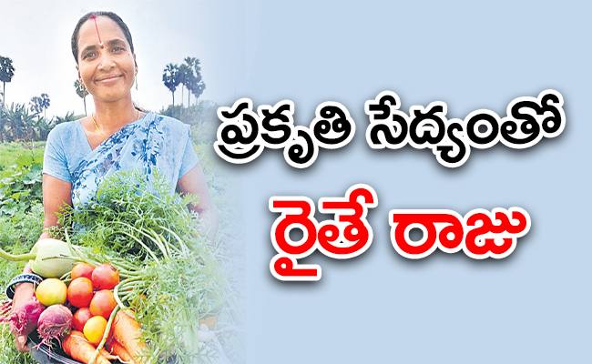 special-interview-executive-vice-chairman-ap-vijaya-kumar.jpg
