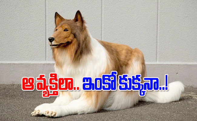 Dog.jpg