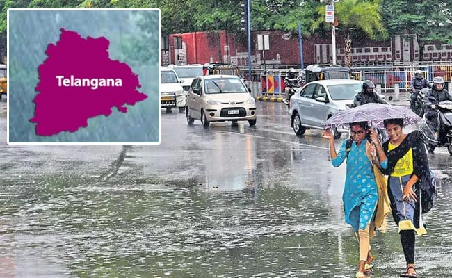 TS-RAins.jpg