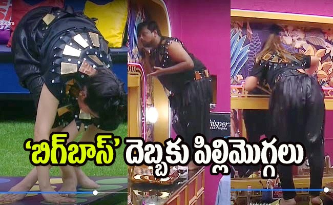 bigg-boss-7-wednesday-.jpg