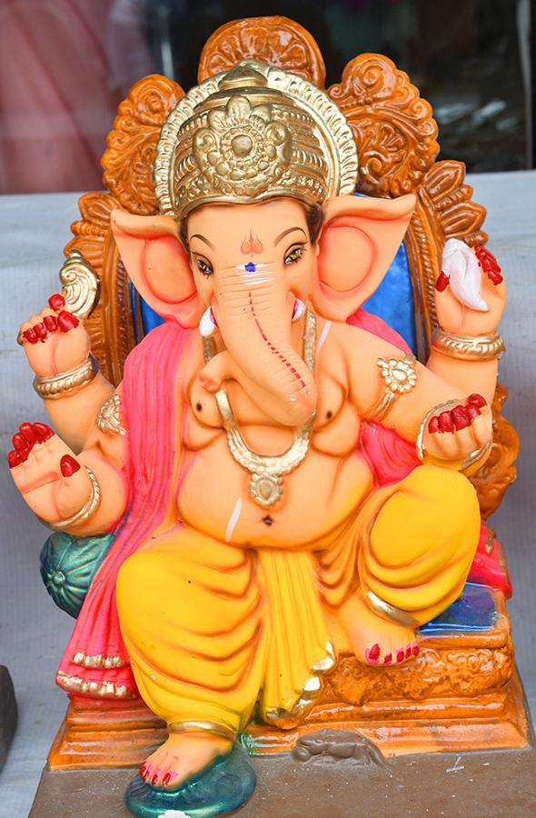 Vinayaka_20Chavithi_202023_20Pics-11.jpg 11