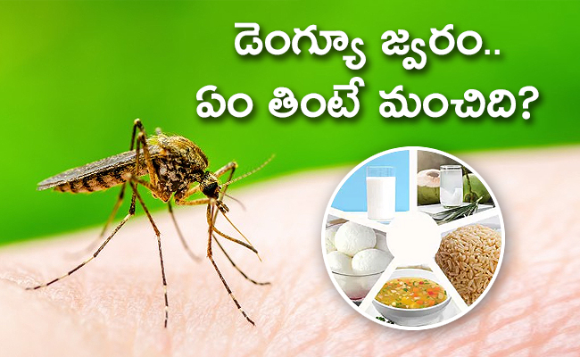 dengue_650x400.jpg