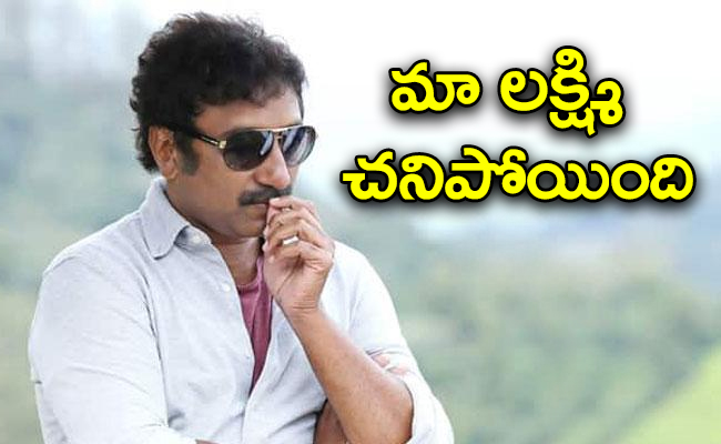 director-srinu-vaitla-farm-cow-lakshmi-passed-away.jpg