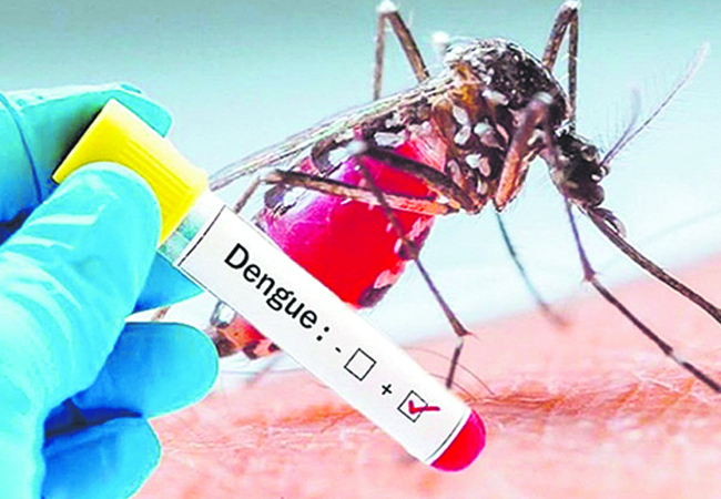 DENGUE.jpg