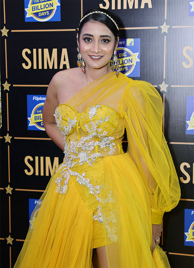 SIIMA_20Awards_202023_20Live_20Updates_20Photos-15.jpg 15