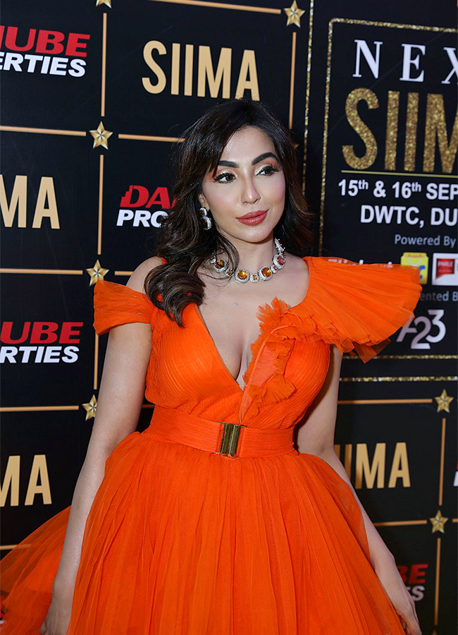 SIIMA_20Awards_202023_20Live_20Updates_20Photos-9.jpg 9