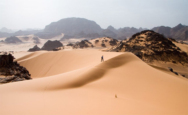 sahara.jpg