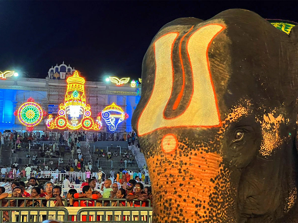 Brahmotsavaalu_202023_20In_20Tirumala_20Photos-9.jpg 8