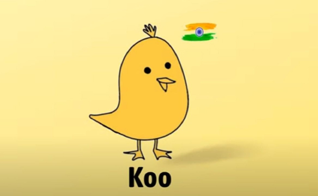 koo.jpg
