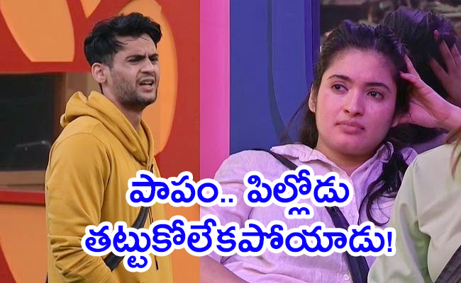 Bigg-Boss-7-Telugu-Day-16-Episode-Highlights.jpg